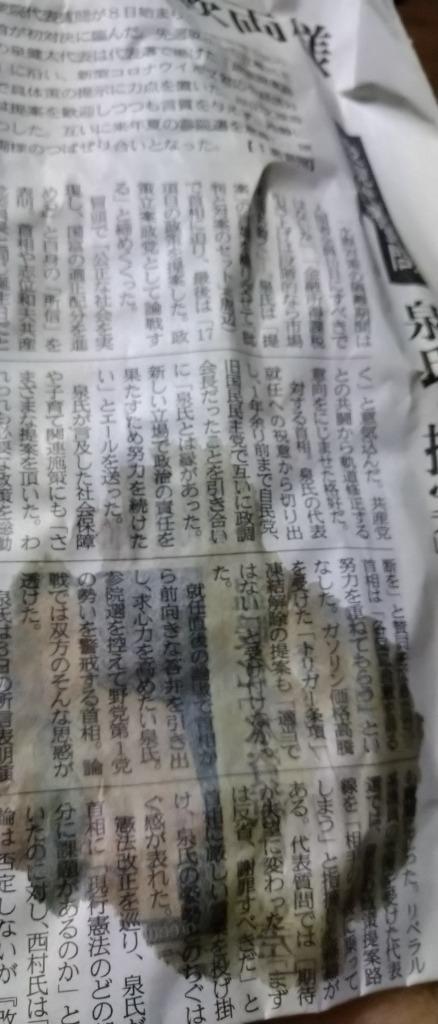 レビュー画像