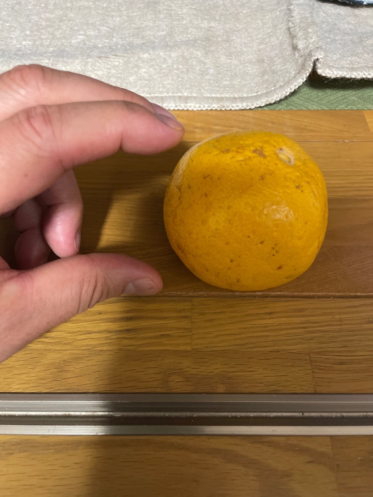 全体のレビュー画像 | 0-0