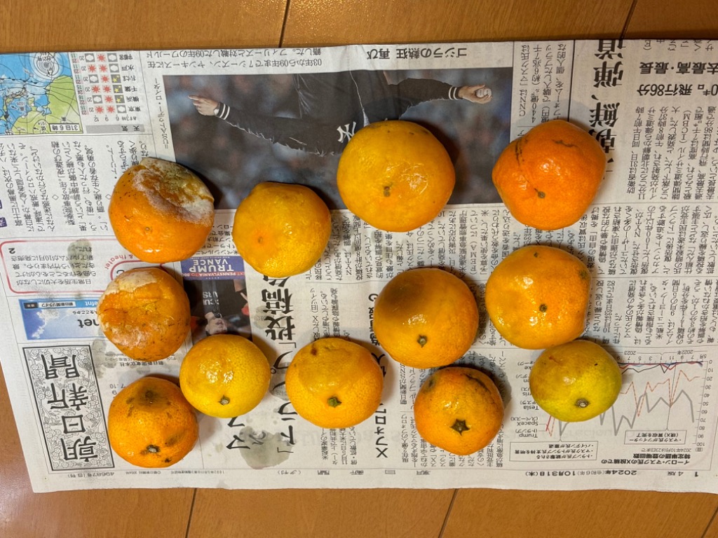 楽天市場】【3セット購入で3kgオマケ！】 小玉 みかん 送料無料