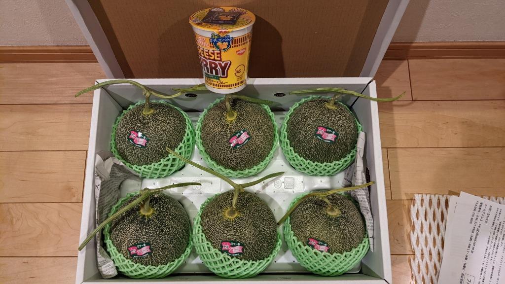 肥後グリーンメロン 訳あり 箱込約7キロ(3〜8玉入り)熊本産 肥後グリーンメロン 訳あり 箱込約7キロ(3〜8玉入り)熊本産