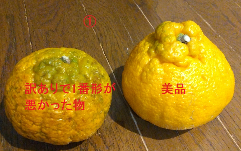 2件目のレビュー画像 | 0