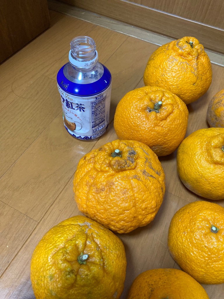 レビュー画像