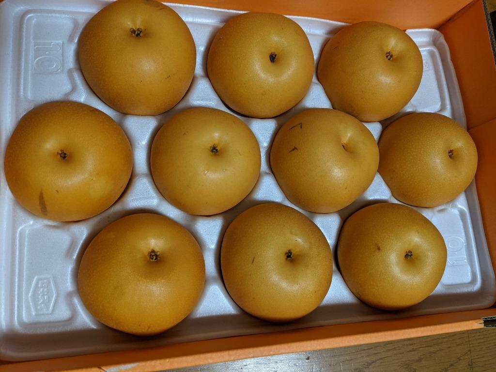 10件目のレビュー画像 | 0