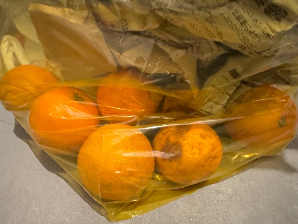 愛果28号 紅まどんなと同品種 あいか みかん 愛媛産 1箱約5kg