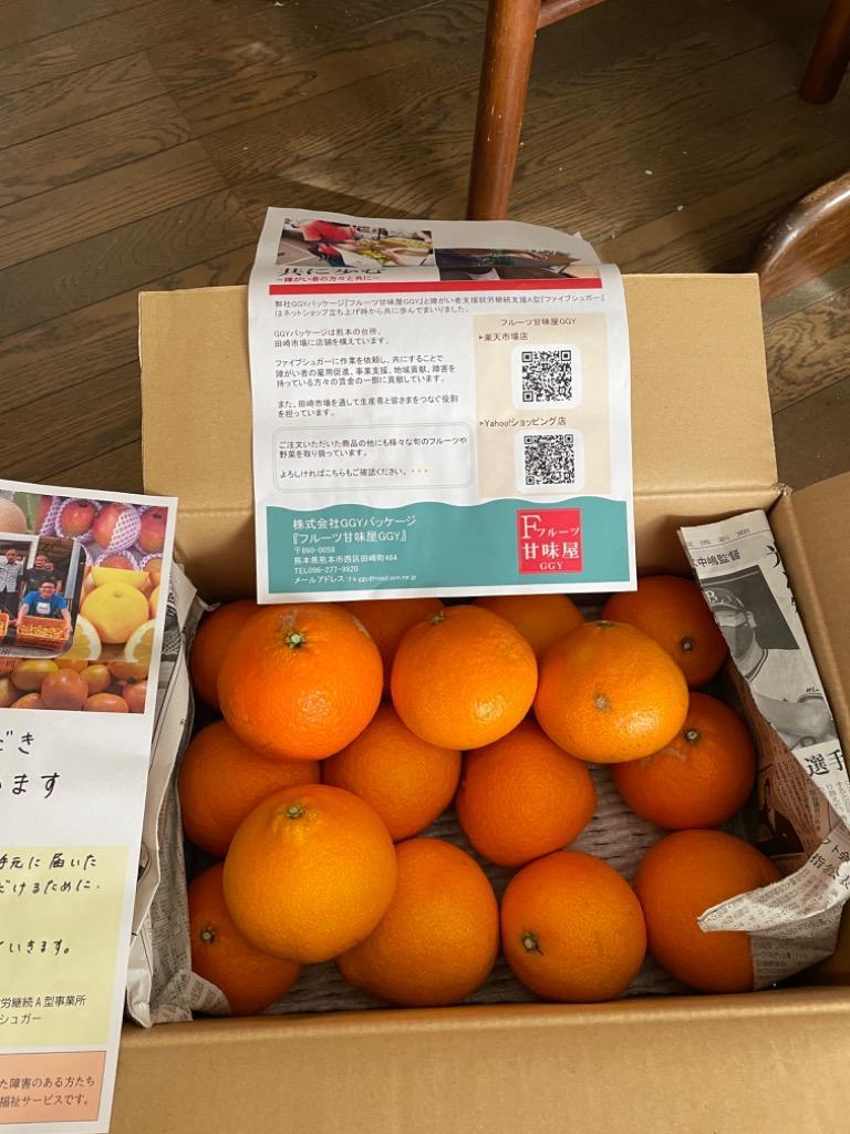 愛媛県産 愛果28号 柑橘 10kg