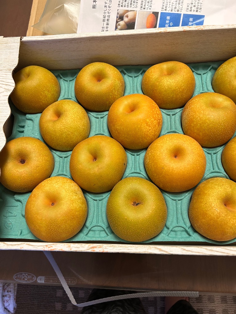 完熟 幸水梨 訳あり 熊本産 1箱 約5kg（約8〜24玉）【クール便