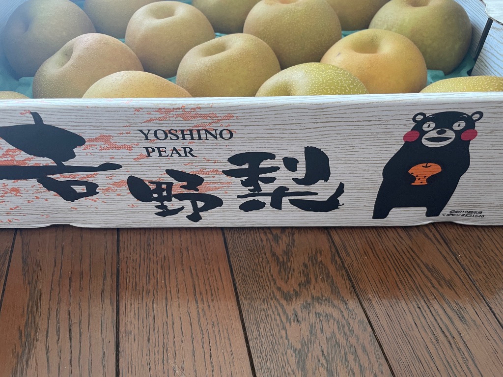 クール便でお届け【熊本県産】幸水梨 梨 ナシ 家庭用 バラ 訳アリ品 約20kg 完熟 幸水梨 訳あり 熊本産 1箱 約5kg（約8〜24玉）【クール便