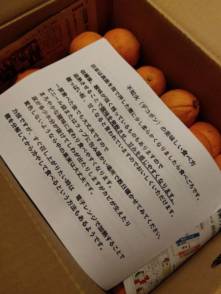 不知火 訳あり 大容量15kg デコポンと同品種 熊本産 みかん