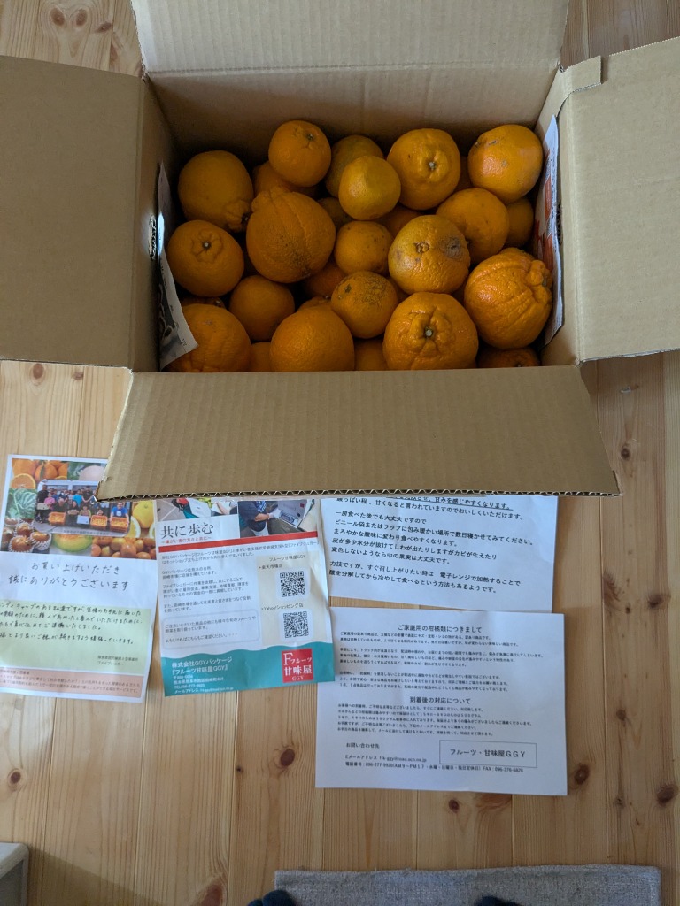 送料込み【熊本県産】不知火みかん デコポン 家庭用 訳アリ品 約15kg 不知火 訳あり 大容量15kg デコポンと同品種 熊本産 みかん