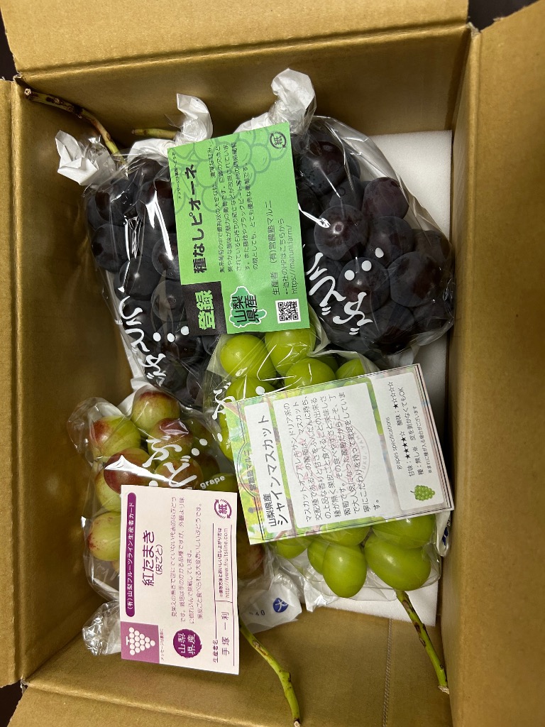 ぶどう 詰め合わせ おまかせ3種類セット 2kg 山梨県産 特産品 産地直送