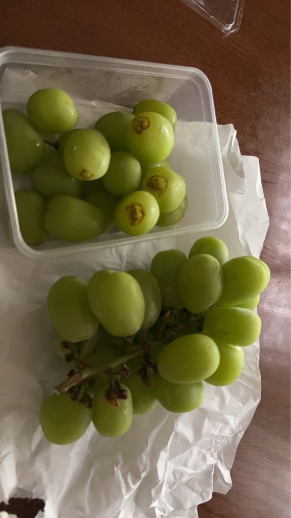 シャインマスカット 2kg 大粒 贈答用 山梨県産 特秀 満杯詰 残暑