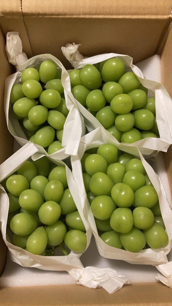 mrimri  山梨県産シャインマスカット2kg シャインマスカット 2房 (1kg以上) 山梨県産 | 山梨県山梨市