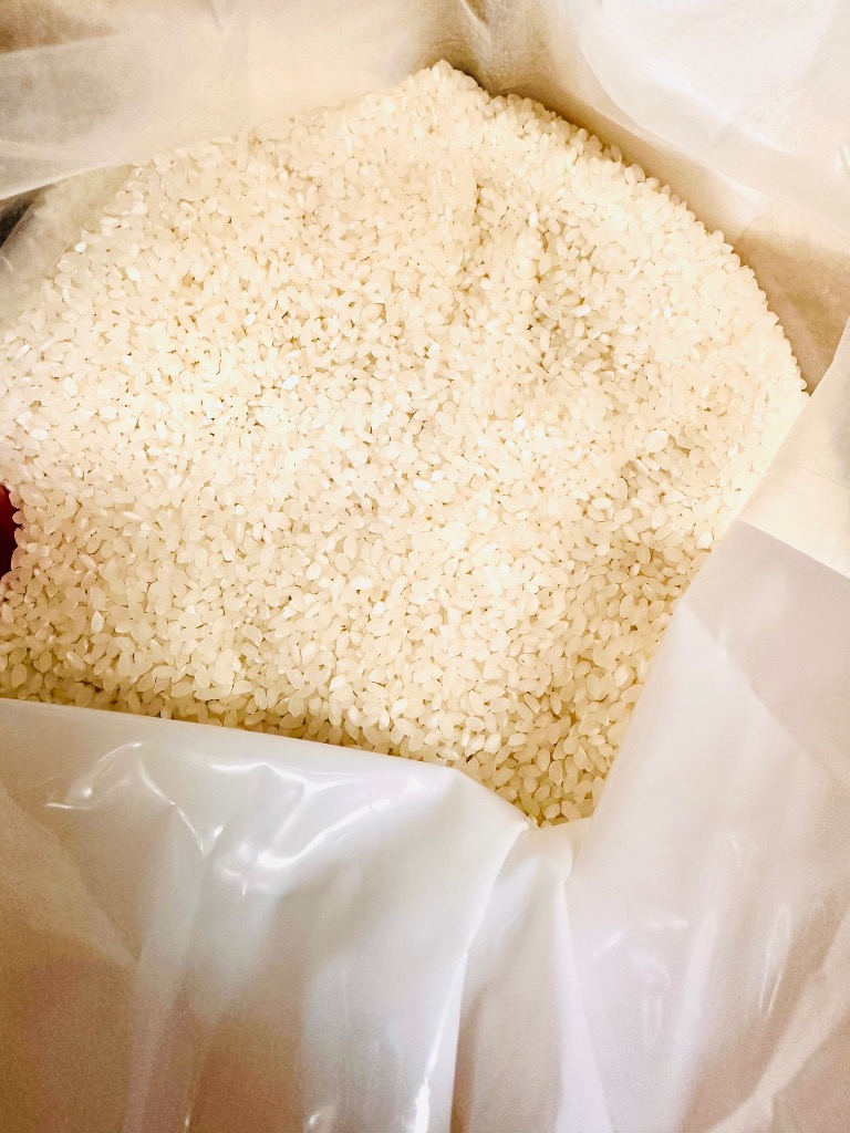 ヒノヒカリ 米 お米 30kg ちょっぴりセレブな 国内産 令和6年産 ヒノヒカリ 米 お米 30kg ちょっぴりセレブな 国内産 令和6年産