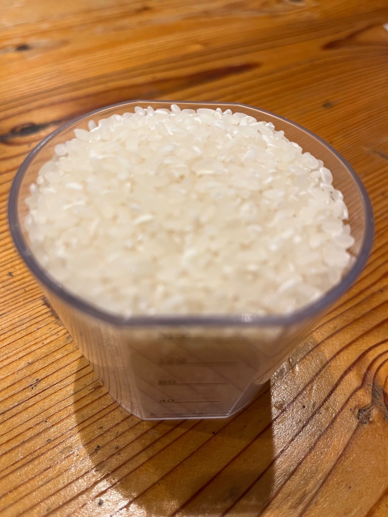 ヒノヒカリ 米 お米 10kg 熊本県産 令和6年産 ひのひかり 送料無