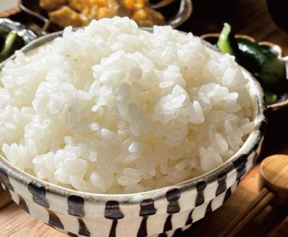 【送料無料!!】令和6年度 キヌヒカリ 玄米 30kg キヌヒカリ 米 お米 30kg 熊本県産 令和6年産 玄米30kg 精米27kg