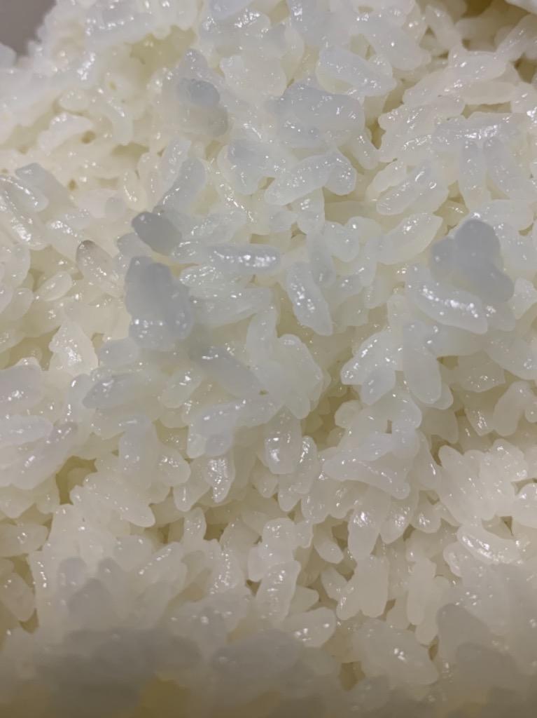 コシヒカリ 米 お米 10kg ちょっぴりセレブな 国内産 令和6年産