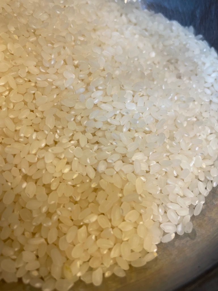 ミルキークイーン 米 お米 20kg ちょっぴりセレブな 国内産 令和 ミルキークイーン 米 お米 20kg ちょっぴりセレブな 国内産 令和