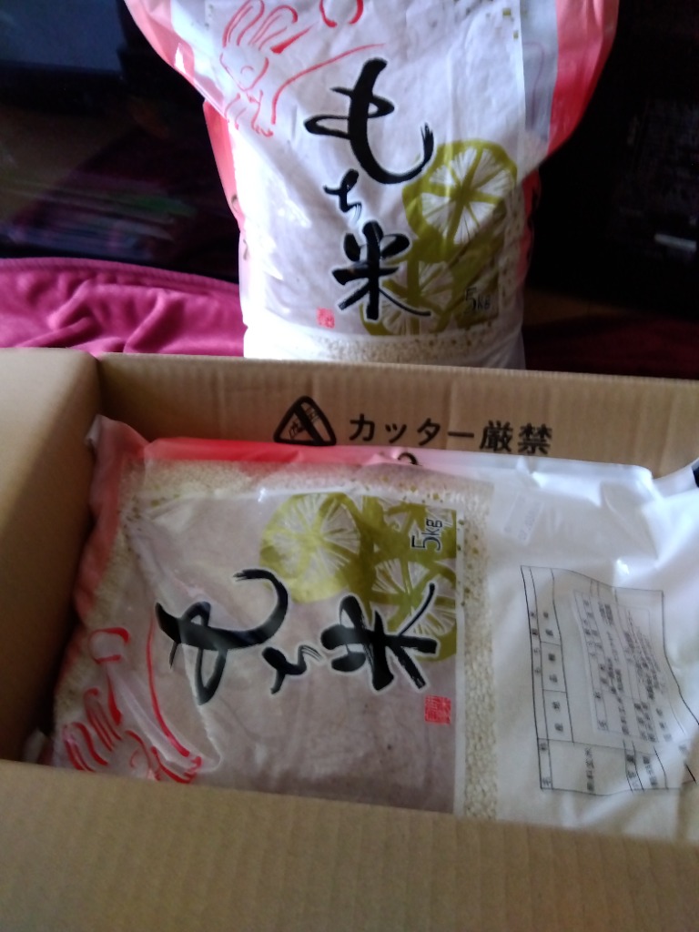 ヒヨクモチ 米 もち米 精米10kg 熊本県産 令和6年産 10kg : こめ