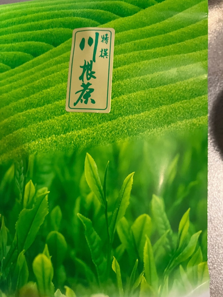 特選川根茶 100g 2025年産 静岡茶 静岡茶名産地シリーズ 生粋