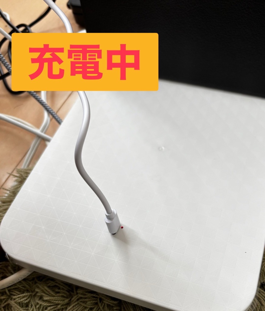 レビュー画像