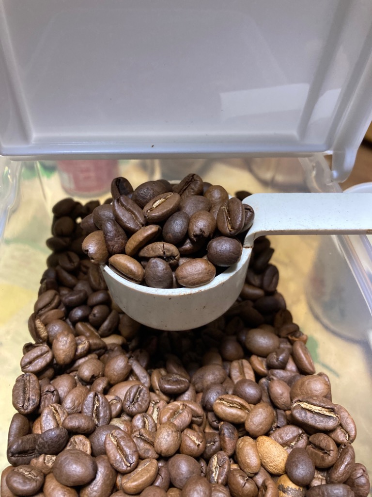 コーヒー豆 コーヒー粉 送料無料 福袋 珈琲豆 珈琲粉 エチオピアモカ 