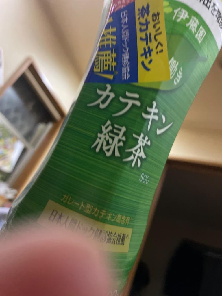 1875円 今季一番 伊藤園 2つの働きカテキン緑茶500 500mL×48本