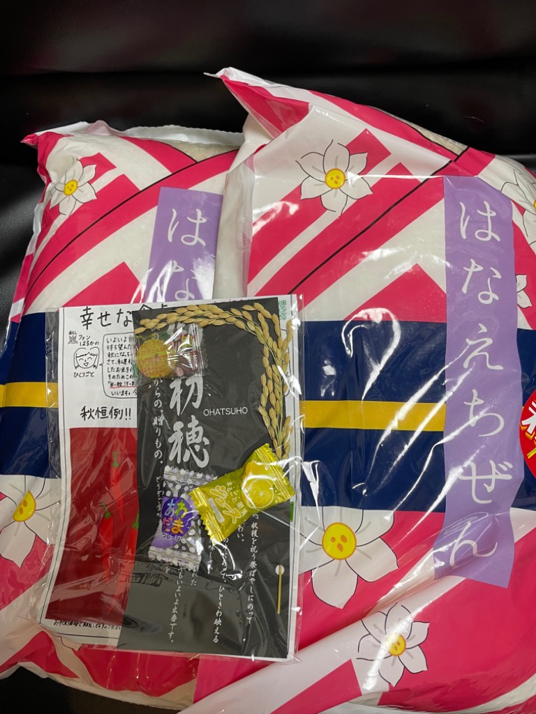 ハナエチゼン 米 10kg 5kg×2袋 白米 福井県産 令和6年産 送料
