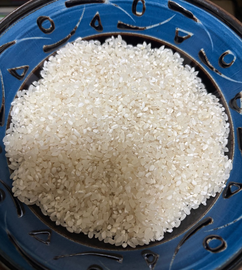 米 5kg 送料無料 福井米 福井県産100% 白米 令和6年産 : 福井の