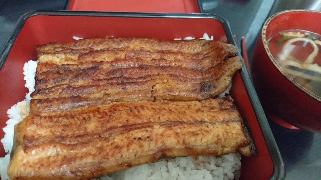 うな重 光月丼重 新溜艶消し内朱 ABS樹脂 f6-859-2 f7-695-2 :f3-631-2:料理道具のフクジネット 通販  