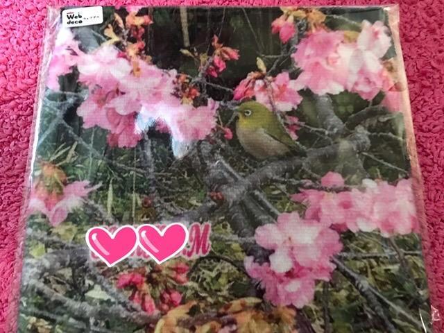1件目のレビュー画像 | 1