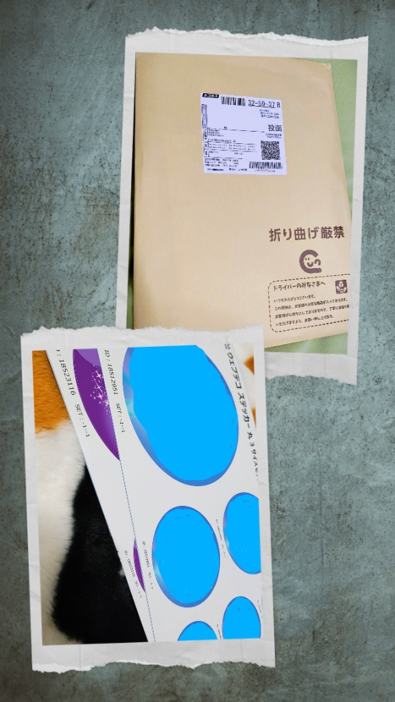 4件目のレビュー画像 | 0