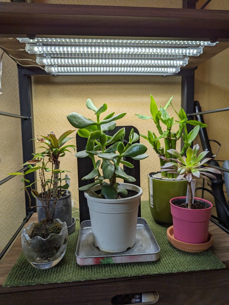 植物育成ライト LED タイマー 植物育成LED 観葉植物育成ライト