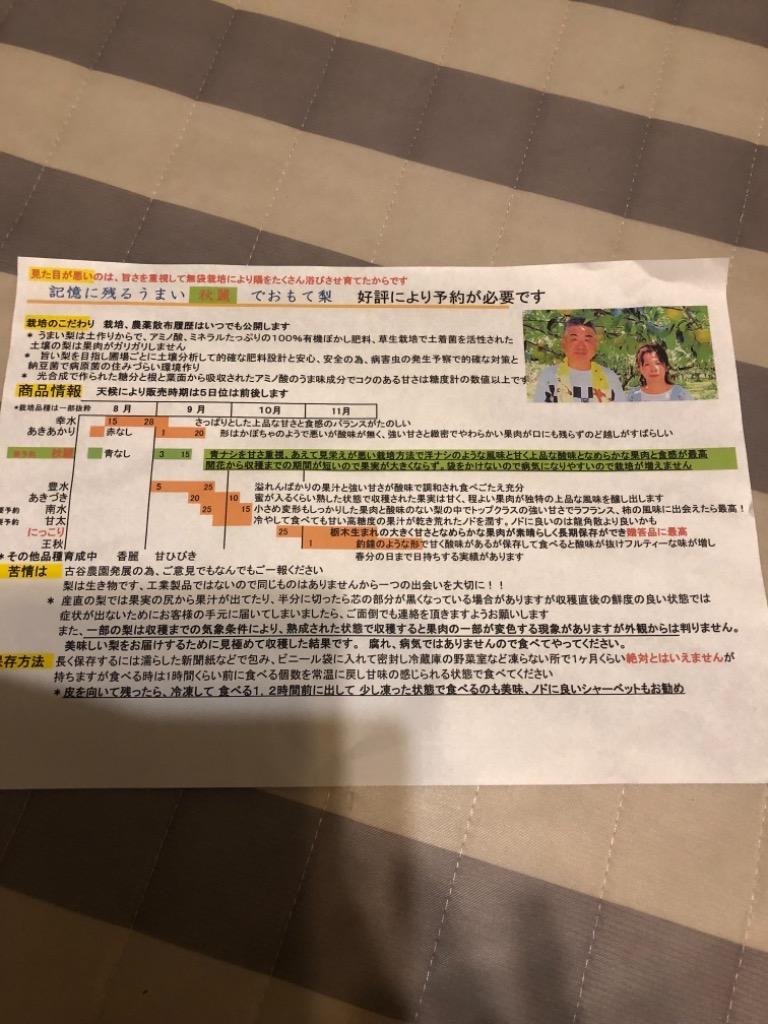 レビュー画像