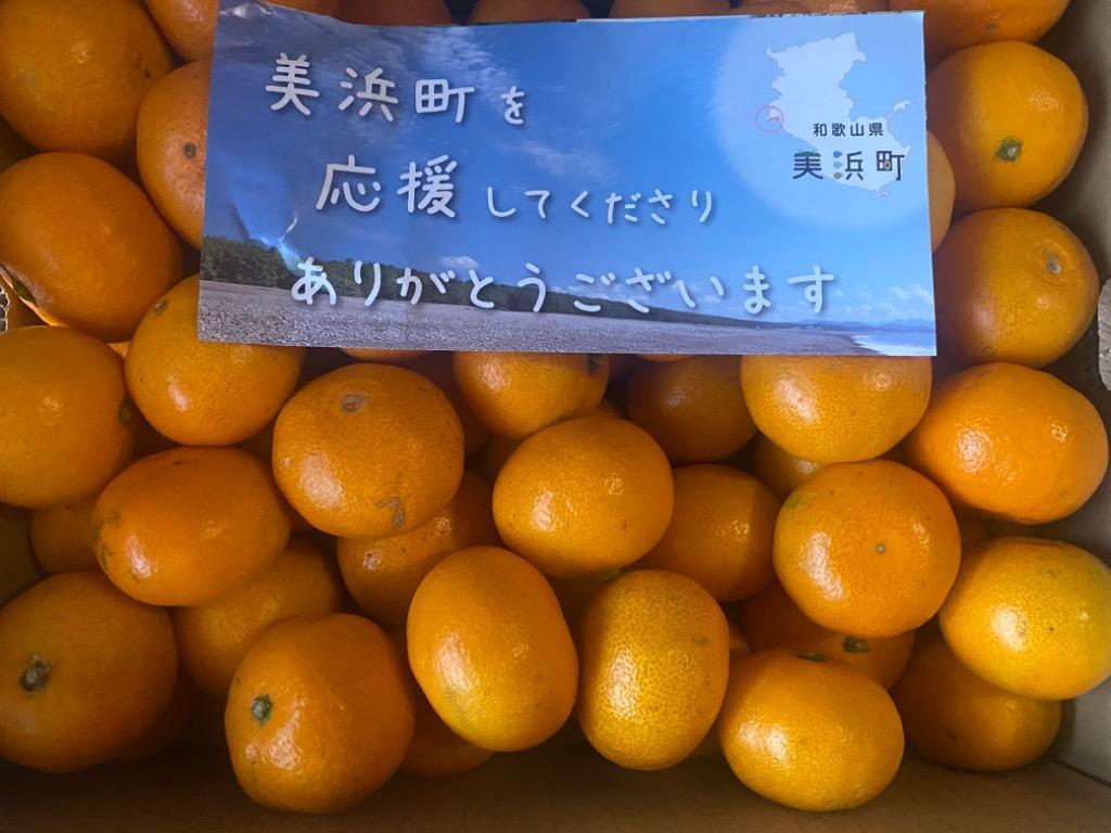 ふるさと納税 和歌山有田産小玉みかん約5kg(Sサイズ、Mサイズ どちらかおまかせ)ご家庭用 ※2022年10月下旬頃〜2023年1月下旬頃に順次発送予定..  和歌山県美浜町 :162886:ふるなび(ふるさと納税) - 通販 - Yahoo!ショッピング