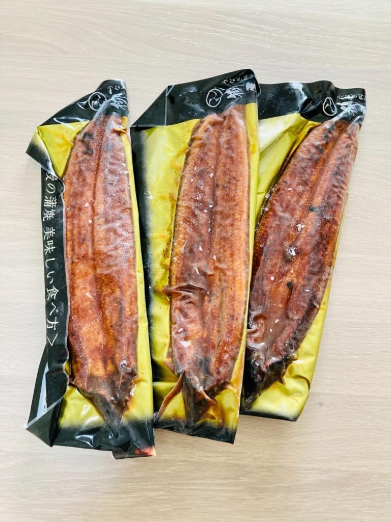 ふるさと納税 100g×3尾 柳屋の国産うなぎ蒲焼 B-615 佐賀県上峰町 :210245:ふるなび(ふるさと納税) - 通販 -  Yahoo!ショッピング