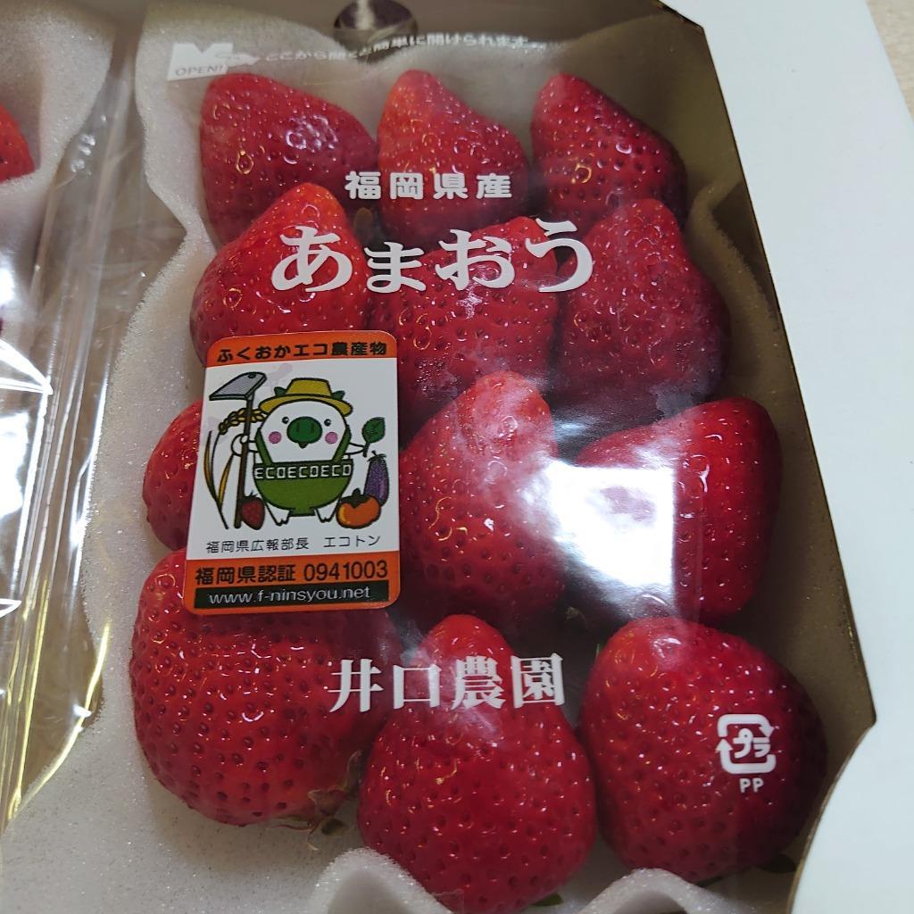 ふるさと納税 2G1【先行予約】福岡県産「あまおう」2P 〜2023年2月からお届け〜 福岡県東峰村 :278945:ふるなび(ふるさと納税) -  通販 - Yahoo!ショッピング