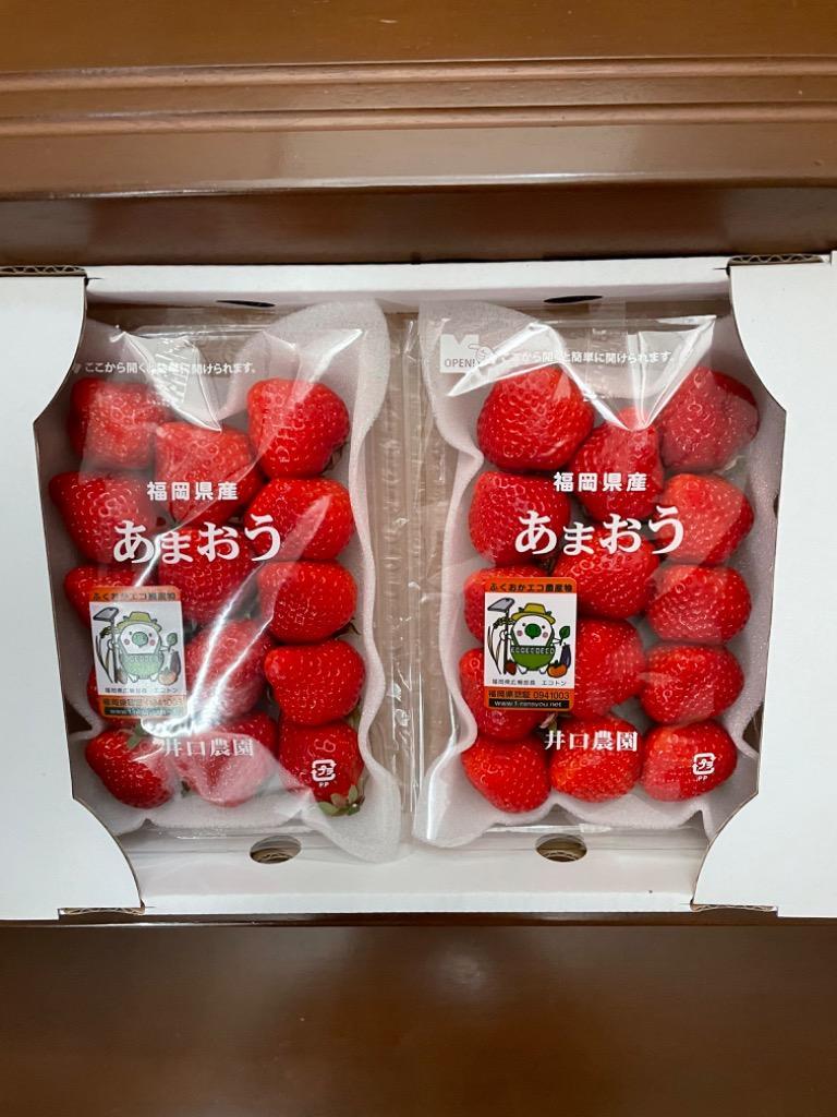 ふるさと納税 2G1【先行予約】福岡県産「あまおう」2P 〜2023年2月からお届け〜 福岡県東峰村 :278945:ふるなび(ふるさと納税) -  通販 - Yahoo!ショッピング