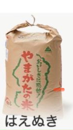 ふるさと納税】 はえぬき 有洗米 玄米 30kg うるち米、玄米 - 最安値
