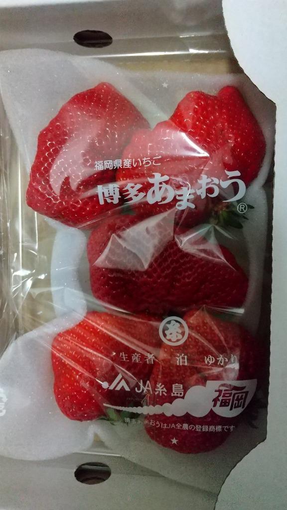 ふるさと納税 TY017 福岡県産 あまおうG以上 1500g（6パック） 先行予約 2023年2月〜3月末にかけて順次発送予定 福岡県宇美町  :354782:ふるなび(ふるさと納税) - 通販 - Yahoo!ショッピング