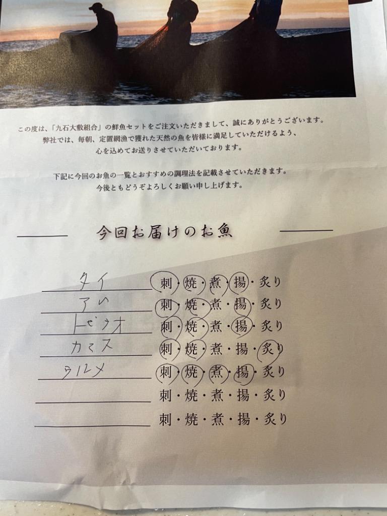 ふるさと納税 魚 鮮魚 ボックス 3-5種類 ( 定期便 で人気の 神経締め の単体鮮魚ボックス ) 鮮度抜群 高知県 須崎市 高知県須崎市  :37076:ふるなび(ふるさと納税) - 通販 - Yahoo!ショッピング