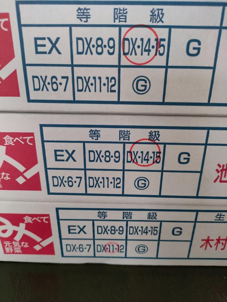 ふるさと納税 ３ＮＢ６【福岡県産あまおう】 グランデ等級 ２８０ｇ×６Ｐ（2月中旬〜4月下旬発送） 福岡県赤村 :417061:ふるなび(ふるさと納税)  - 通販 - Yahoo!ショッピング