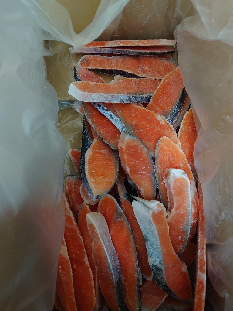 ふるさと納税 鮭問屋【訳あり】鮭切身〈銀鮭35切入〉約2.2kg【R08】 三重県紀北町 :597427:ふるなび(ふるさと納税) 通販  