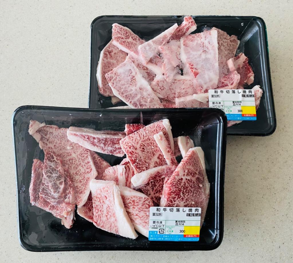 ふるさと納税 10-01 宮崎和牛切落し焼肉 600ｇ 宮崎県日向市 :72325:ふるなび(ふるさと納税) - 通販 - Yahoo!ショッピング