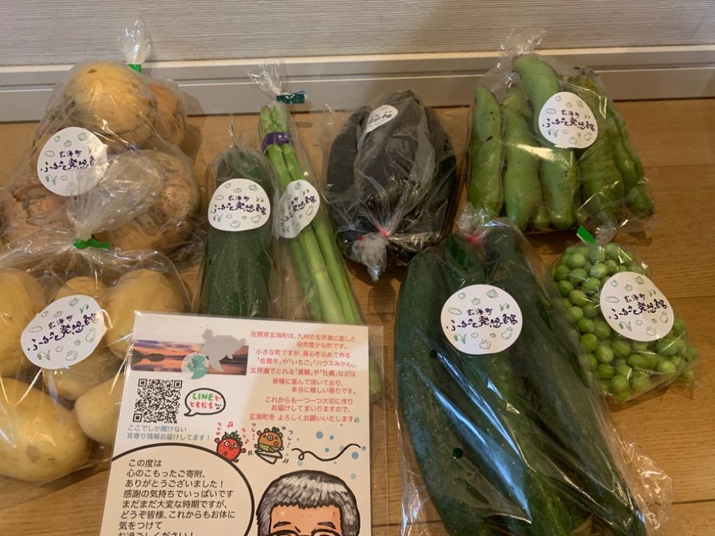 ふるさと納税 いろどり野菜セット 佐賀県玄海町 :75559:ふるなび(ふるさと納税) - 通販 - Yahoo!ショッピング