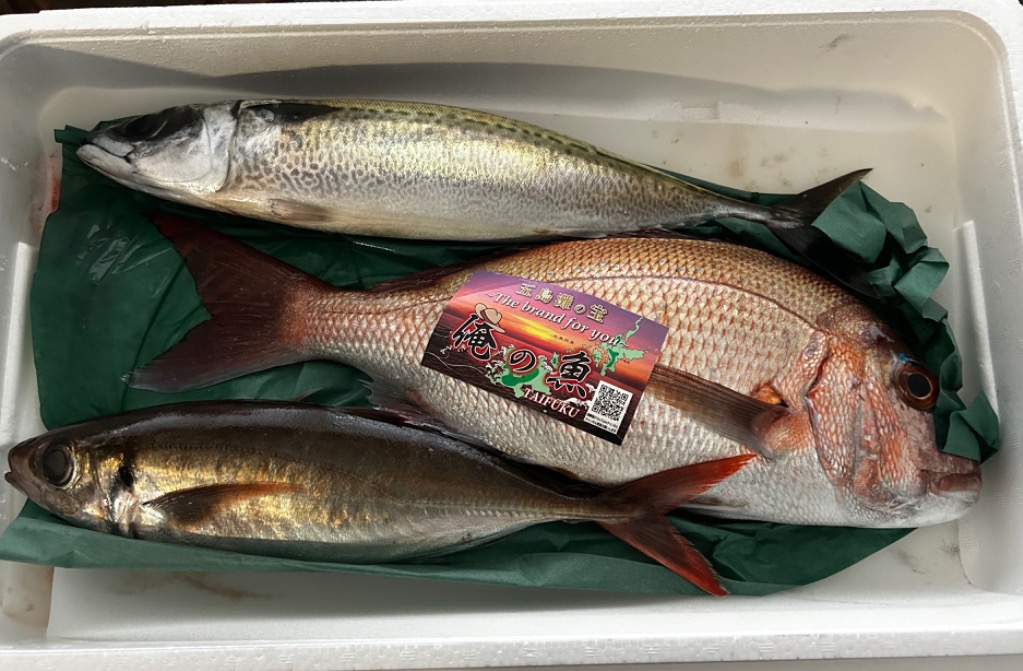 ふるさと納税 【五島列島・直送】朝獲れ!鮮魚セット2kg 鯛福丸 ふるさと納税 【五島列島・直送】朝獲れ!鮮魚セット2kg 鯛福丸