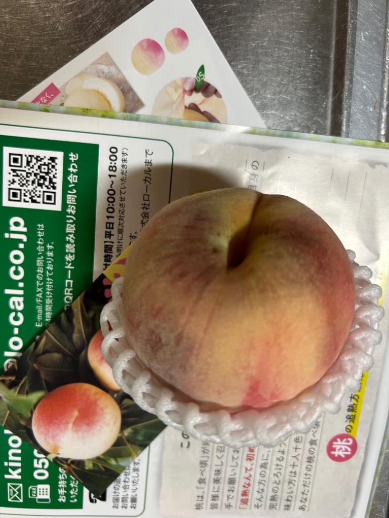 レビュー画像