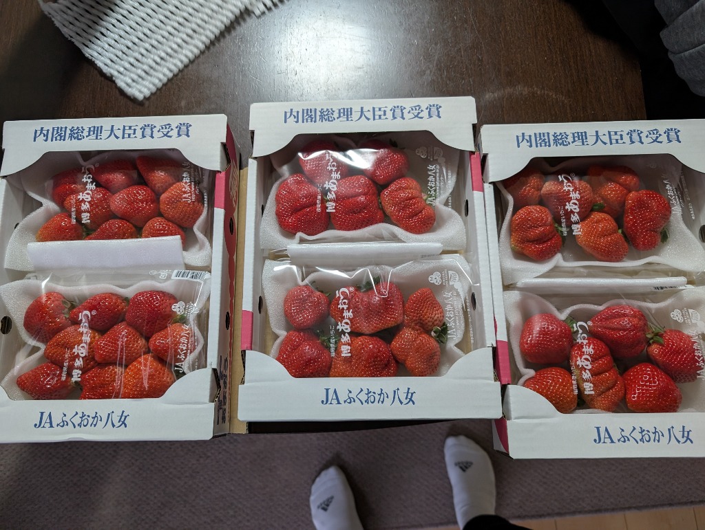 レビュー画像