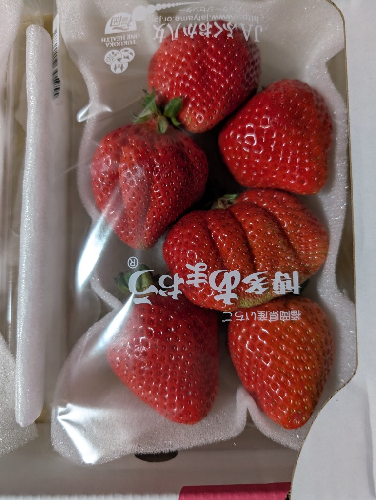 レビュー画像