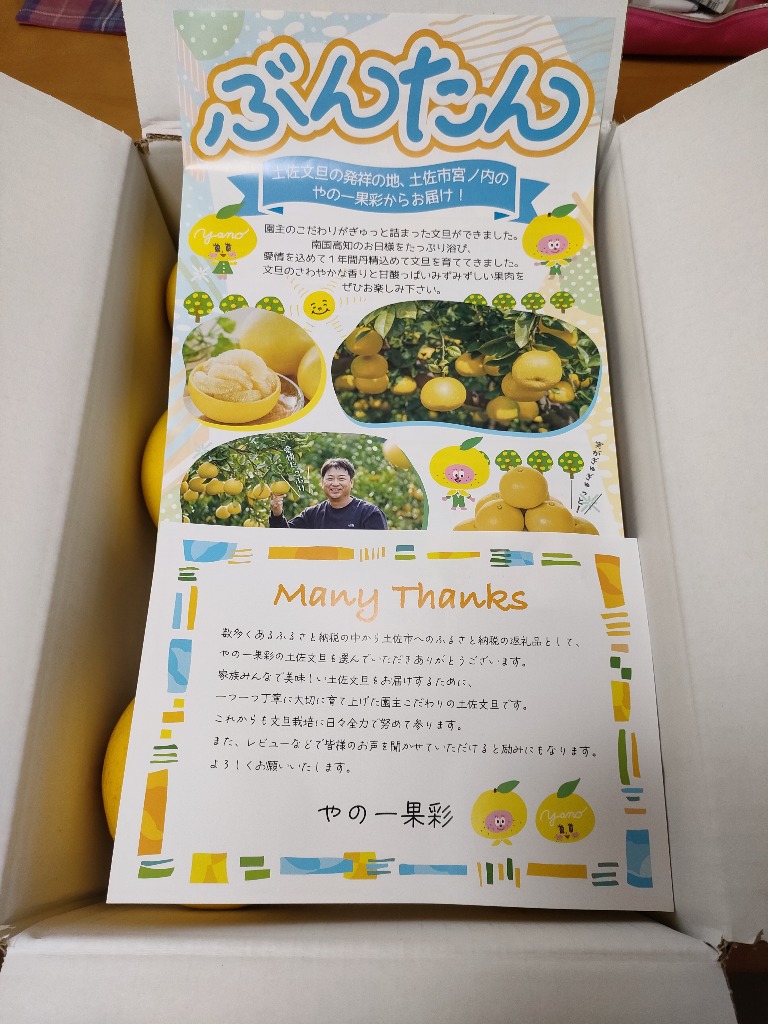 レビュー画像