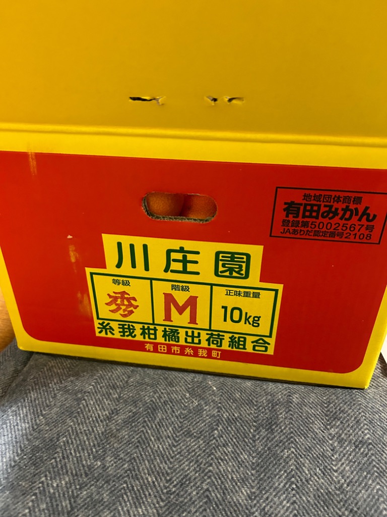 レビュー画像